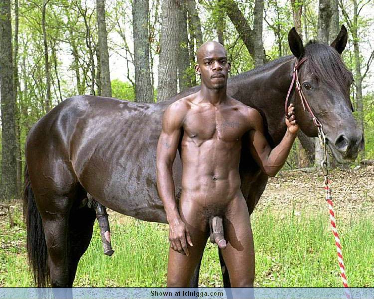 If the horse looks like this then yes he does become a nigger